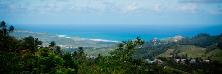 Holidays to Bathsheba | Breathtaking Holidays to Bathsheba